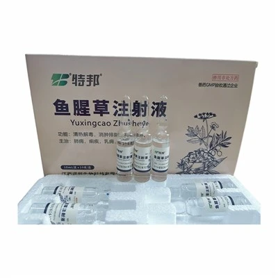 Houttuynia Cordata Extract Injection
